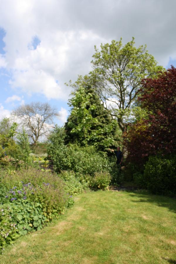 Foxholm Bed And Breakfast Scarborough Luaran gambar